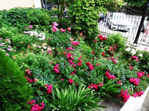 Деревенские палисадники. Палисадник — 140 фото и видео описание проектирования и оформления палисадников