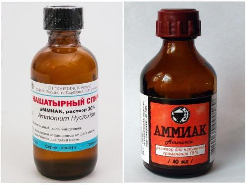 Аммиак применение в быту. 7 способов применения нашатырного спирта в домашнем хозяйстве