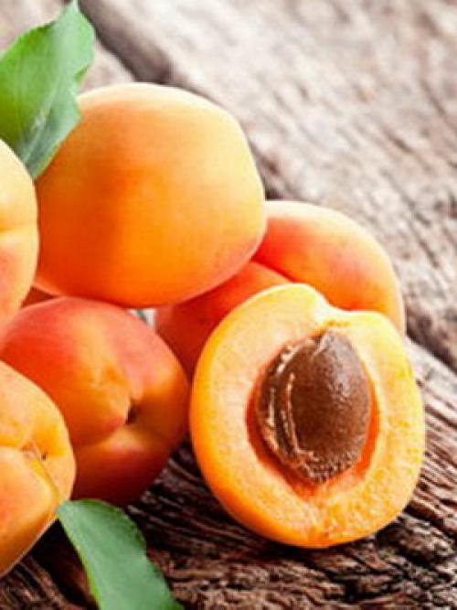 Поздние сорта абрикоса. Лучшие сорта абрикосов разного срока созревания 04 Поздние сорта абрикоса. Лучшие сорта абрикосов разного срока созревания 04