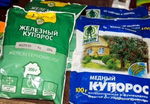 Фунгицид от сажистого грибка. Грибок на листьях груши и 7 способов борьбы с ним