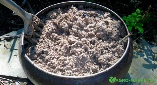 Неприхотливый и практичный многолетник: идеальный выбор для любого сада 04 Неприхотливый и практичный многолетник: идеальный выбор для любого сада 04