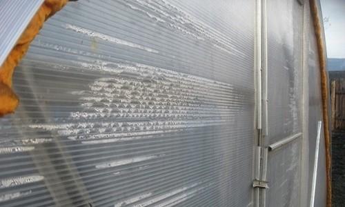Как избавиться от конденсата в теплице из поликарбоната. Почему в теплице возникает конденсат и повышается влажность?
