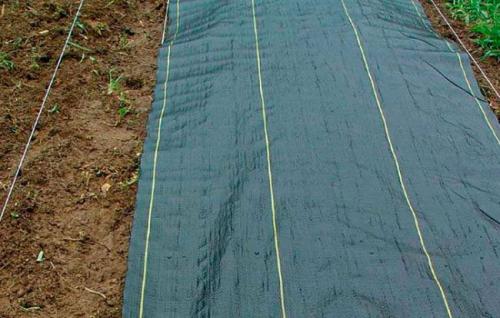 Укрывной материал от сорняков в теплице. Чем закрыть дно теплицы, чтобы не росли сорняки?
