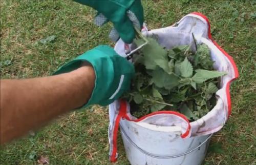 Зола для помидоров и огурцов. Потребности помидоров и огурцов на дачном участке 06 Зола для помидоров и огурцов. Потребности помидоров и огурцов на дачном участке 06