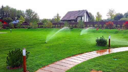 Наливной газон. Жидкий газон: плюсы и минусы