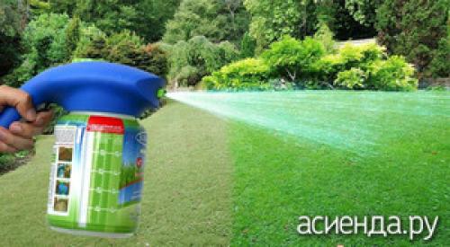Наливной газон. Жидкий газон: плюсы и минусы
