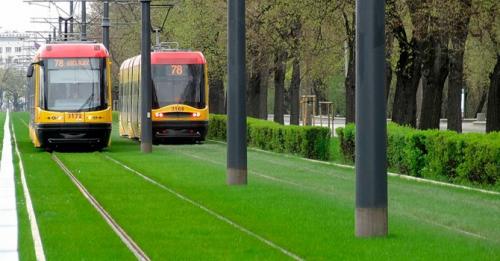 Какая трава лучше для газона на даче. Какой газон лучше посадить на даче: описание и виды трав