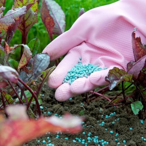 Аммиак применение в быту. Аммиак и его применение в быту