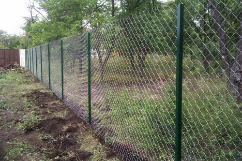 Сетка рабица с зеленью. Как украсить забор из сетки-рабицы – оригинальные идеи декора