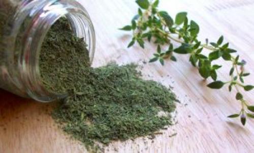 Тимьян выращивание дома. Выращивание тимьяна в домашних условиях