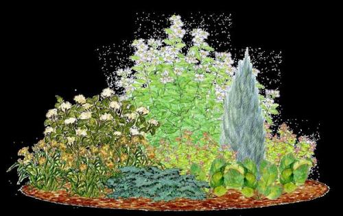 Лучшие сорта вишни форум. Помогите определиться с сортами вишни. Как расположить на участке?