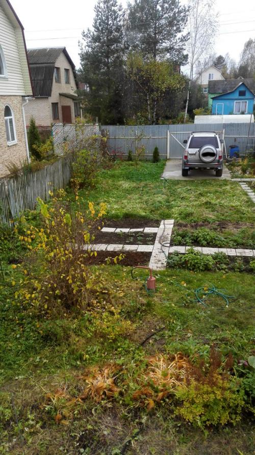 Лучшие сорта вишни форум. Помогите определиться с сортами вишни. Как расположить на участке?