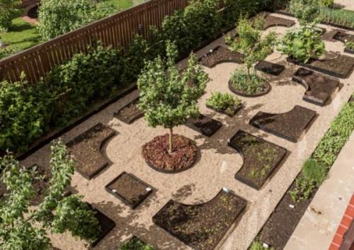 Лучшие сорта вишни форум. Помогите определиться с сортами вишни. Как расположить на участке?