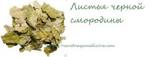 Чай с черной смородиной. Польза черной смородины в чае 14