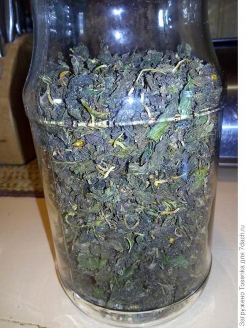 Чай из листьев смородины. Ферментированный чай из листьев черной смородины