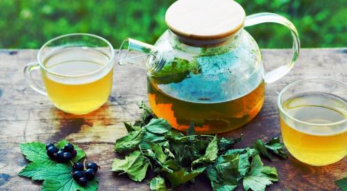 Листья черной смородины в чай. Полезные свойства 13