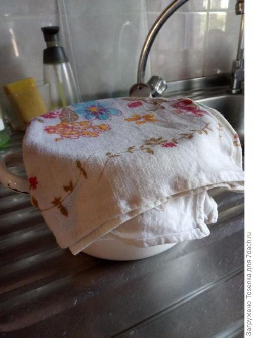 Как сушить листья смородины ферментация. Ферментированный чай из листьев черной смородины