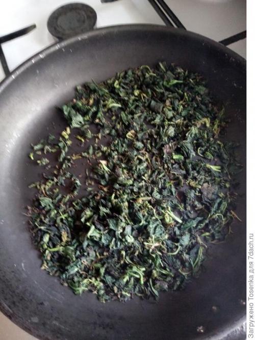 Как сушить листья смородины ферментация. Ферментированный чай из листьев черной смородины