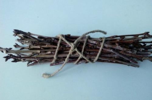 Чай из веток вишни: польза и вред. Чай из веточек вишни: польза и вред, противопоказания, характеристика, правила заваривания, особенности употребления