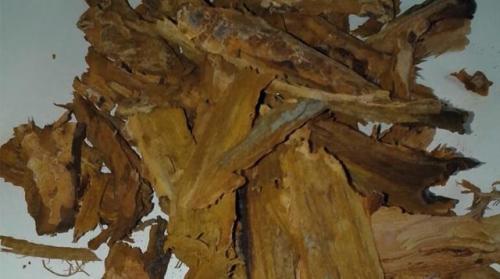 Чай из веток вишни: польза и вред. Чай из веточек вишни: польза и вред, противопоказания, характеристика, правила заваривания, особенности употребления