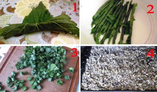 Листья малины и смородины для чая. Когда лучше собирать листья смородины и малины для чая, чтобы получить ароматный напиток