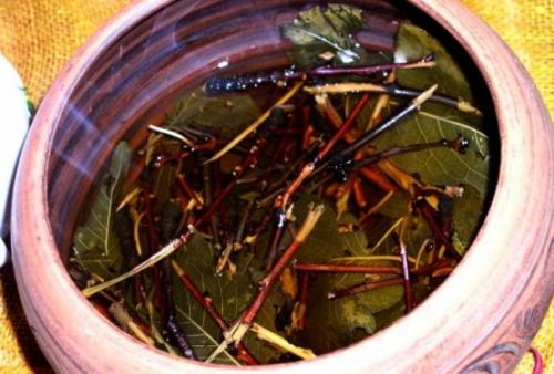 Целебный чай из веточек и листочков. Ароматы лета: как заготавливать листья садовых растений для чая 08