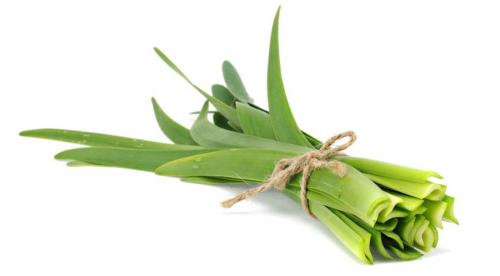 Картинки виды лука. 10 съедобных видов лука, которые можно и нужно выращивать у себя на огороде 02 Картинки виды лука. 10 съедобных видов лука, которые можно и нужно выращивать у себя на огороде 02