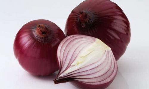 Сорта лука репчатого. Самые популярные сорта лука