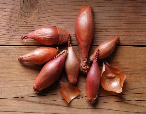 Картинки виды лука. 10 съедобных видов лука, которые можно и нужно выращивать у себя на огороде 22 Картинки виды лука. 10 съедобных видов лука, которые можно и нужно выращивать у себя на огороде 22