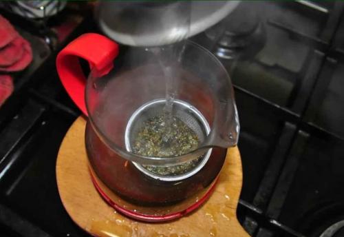 Как заготавливать веточки для чая. 13 вариантов чая из веток деревьев и кустарников