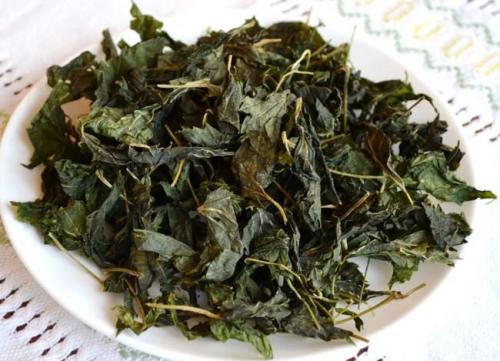 Ферментированный чай из листьев смородины. Ферментация листьев смородины для чая в домашних условиях