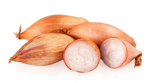 Картинки виды лука. 10 съедобных видов лука, которые можно и нужно выращивать у себя на огороде 06 Картинки виды лука. 10 съедобных видов лука, которые можно и нужно выращивать у себя на огороде 06