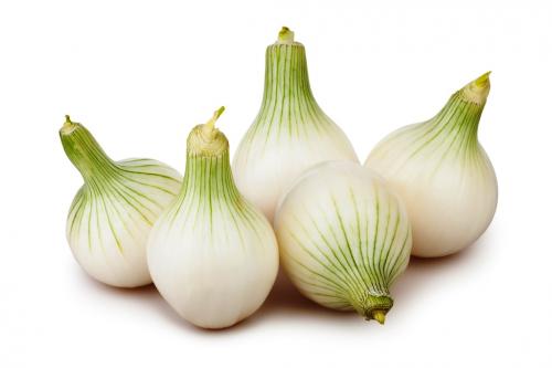 Картинки виды лука. 10 съедобных видов лука, которые можно и нужно выращивать у себя на огороде 16 Картинки виды лука. 10 съедобных видов лука, которые можно и нужно выращивать у себя на огороде 16