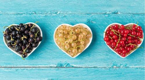 Ветки красной смородины польза. Не пропустите смородину!