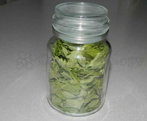 Как хранить листья смородины на зиму для чая. Заготовка листьев черной смородины для лечения на зиму 04