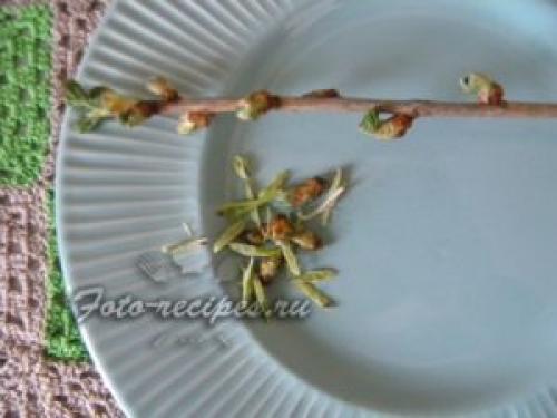 Чай из веток малины и вишни. Чай из веток малины, смородины и вишни — рецепт с фото