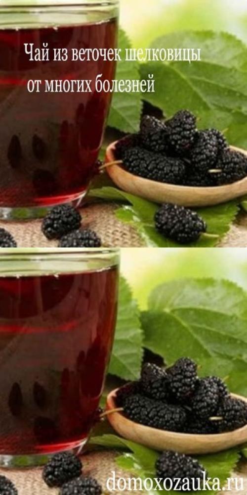 Чай из веток смородины польза и вред. Сове.  Применяйте фитопрепараты для профилактики хронических заболеваний мочевыводящих путей 01