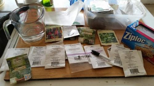 Как определить, что семена готовы к посадке. Зачем проверять семена на всхожесть?