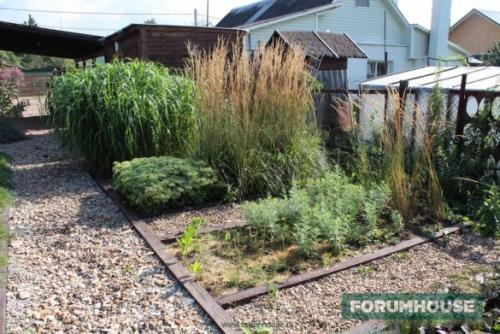 Простой дизайн дачного участка. Сапожник в сапогах: небольшой сад-питомник ландшафтных дизайнеров