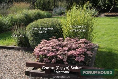 Простой дизайн дачного участка. Сапожник в сапогах: небольшой сад-питомник ландшафтных дизайнеров