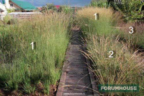 Простой дизайн дачного участка. Сапожник в сапогах: небольшой сад-питомник ландшафтных дизайнеров