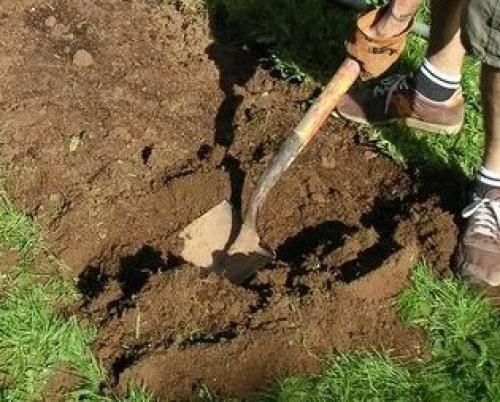 Дисковать или пахать. Целина под огород —, как разработать и как перекапывать землю