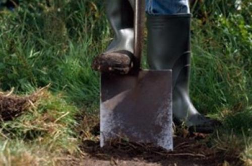 Дисковать или пахать. Целина под огород —, как разработать и как перекапывать землю