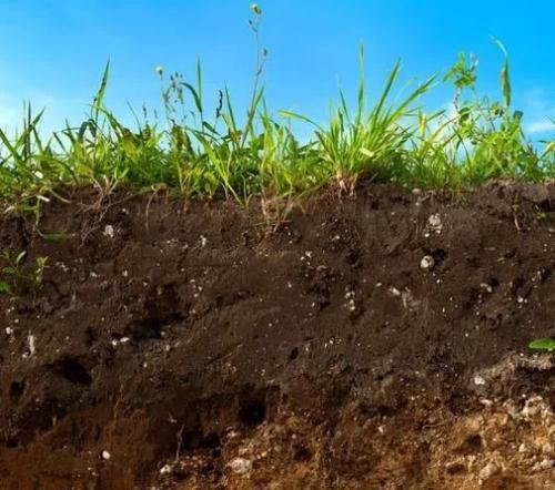 Дисковать или пахать. Целина под огород —, как разработать и как перекапывать землю