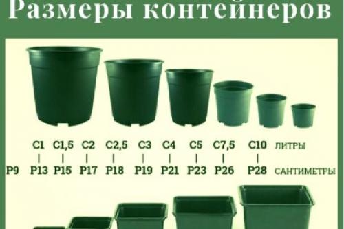 Контейнер с2 размер. Маленькая шпаргалка. Размеры контейнеров
