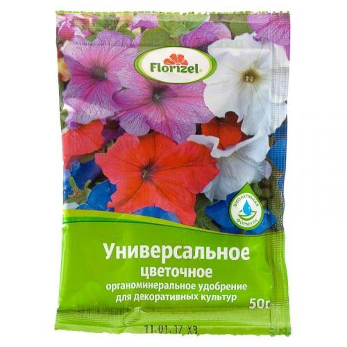 Лапчатка обрезка на пень. Обрезка лапчатки кустарниковой осенью