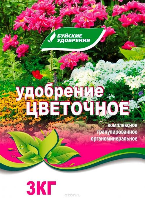 Лапчатка обрезка на пень. Обрезка лапчатки кустарниковой осенью