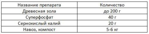 Как подготовить лапчатку к зиме. Уход за лапчаткой осенью: что нужно учесть?