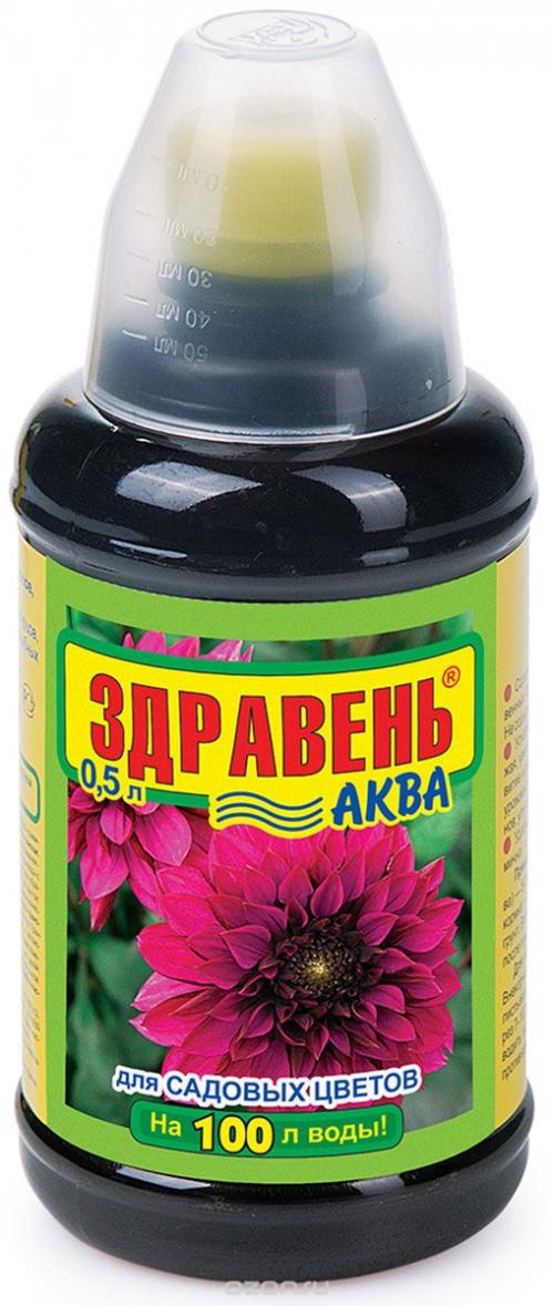 Лапчатка обрезка на пень. Уход за лапчаткой в осеннее время