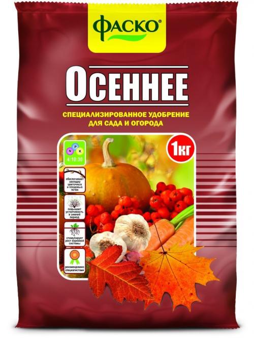 Лапчатка обрезка на пень. Уход за лапчаткой в осеннее время